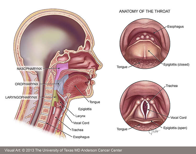 symptoms Deep throat